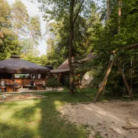 Forest-Camping-Mozirje_2025_foto-andrejlamut_WEB-140