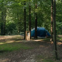 forest-camping-mozirje-mozirje-6g7e6