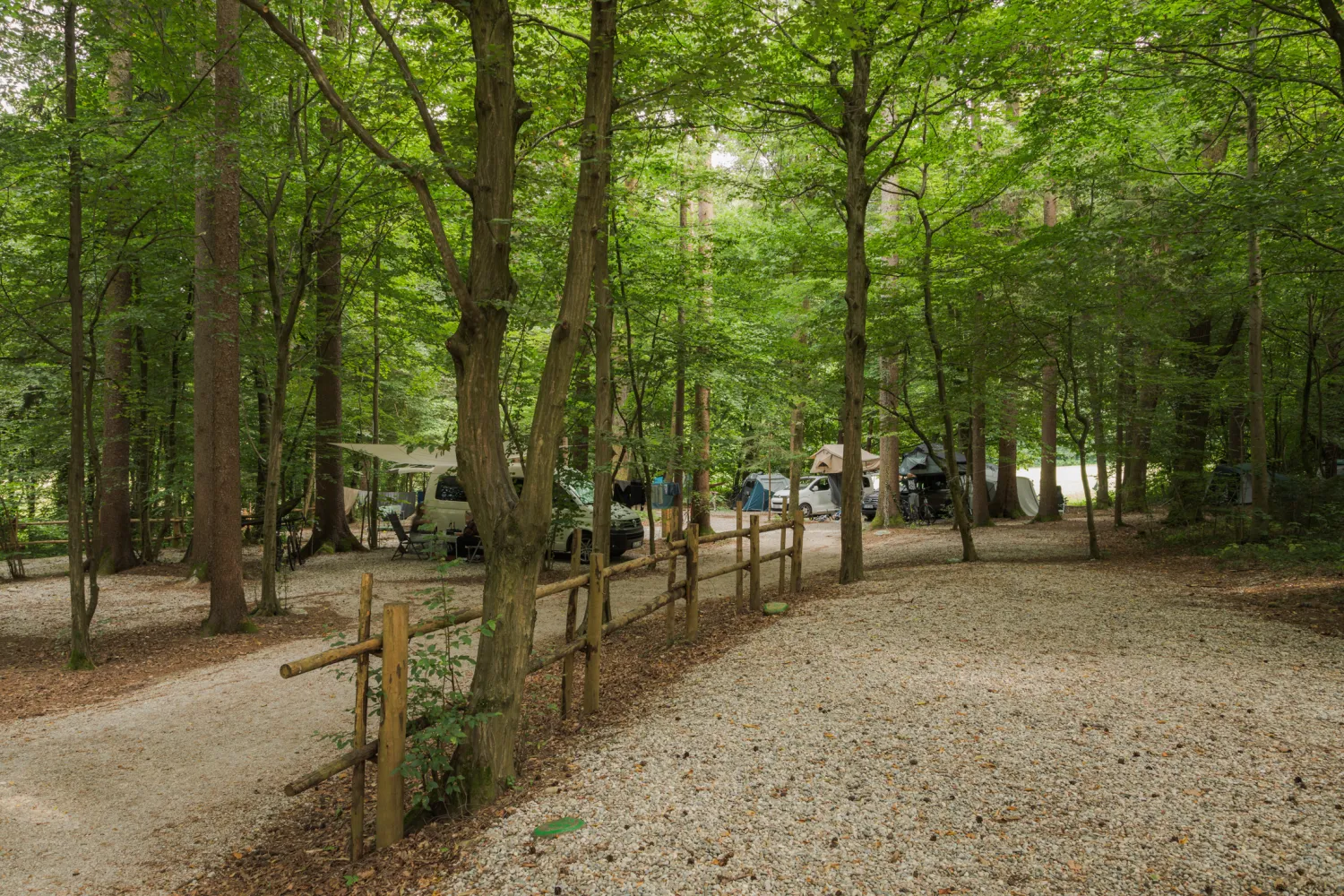Forest-Camping-Mozirje_2025_foto-andrejlamut_WEB-85