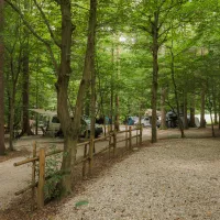 Forest-Camping-Mozirje_2025_foto-andrejlamut_WEB-85
