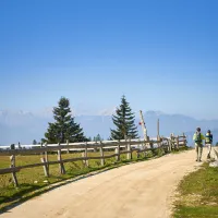 forest-camping-mozirje-mozirje-6xeav