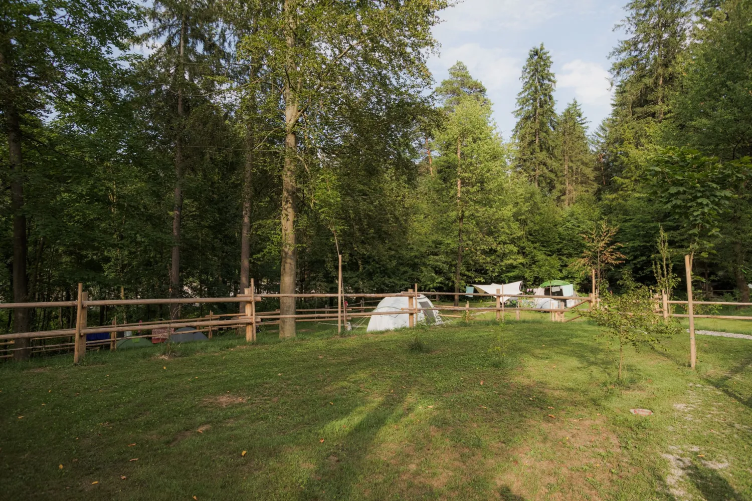 05_Forest-Camping-Mozirje_2025_foto-andrejlamut_WEB-135