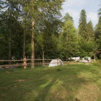 05_Forest-Camping-Mozirje_2025_foto-andrejlamut_WEB-135
