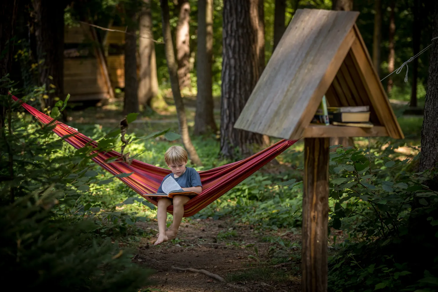 forest-camping-mozirje-mozirje-b1nfb