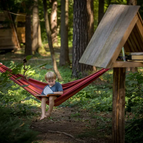 forest-camping-mozirje-mozirje-b1nfb