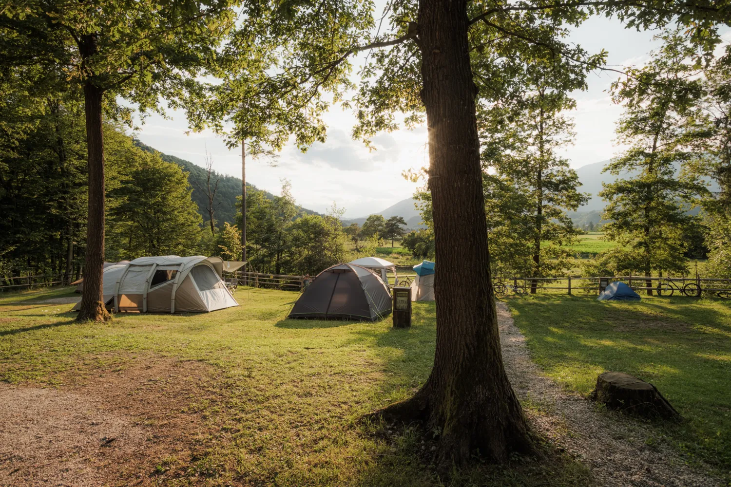 Forest-Camping-Mozirje_2025_foto-andrejlamut_WEB-169