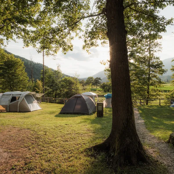Forest-Camping-Mozirje_2025_foto-andrejlamut_WEB-169