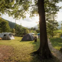 Forest-Camping-Mozirje_2025_foto-andrejlamut_WEB-169