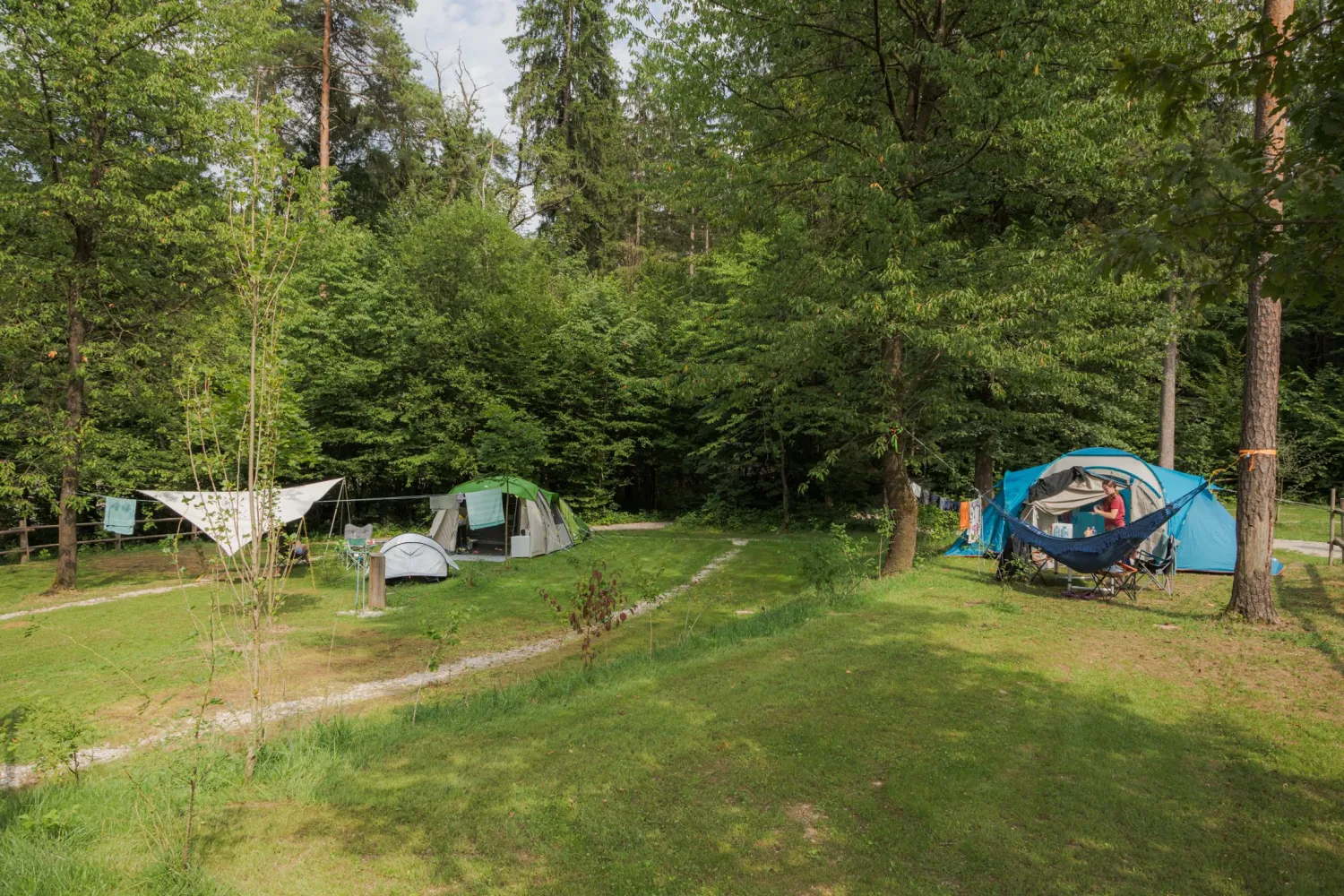 08_Forest-Camping-Mozirje_2025_foto-andrejlamut_WEB-95
