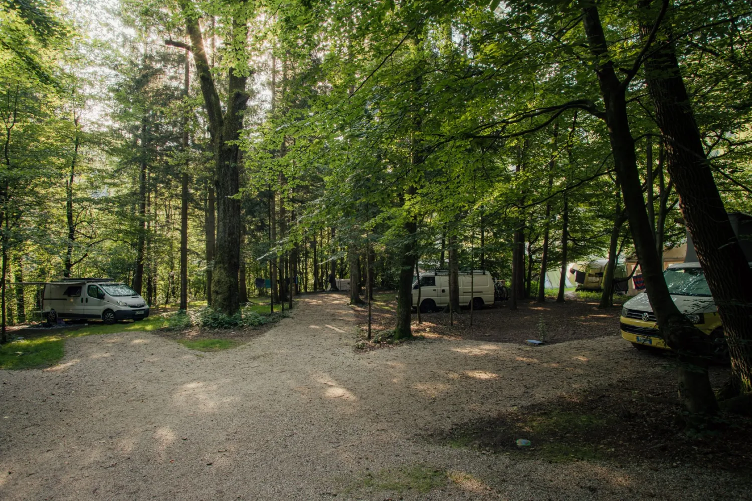 forest-camping-mozirje-mozirje-eites