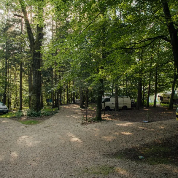 forest-camping-mozirje-mozirje-eites