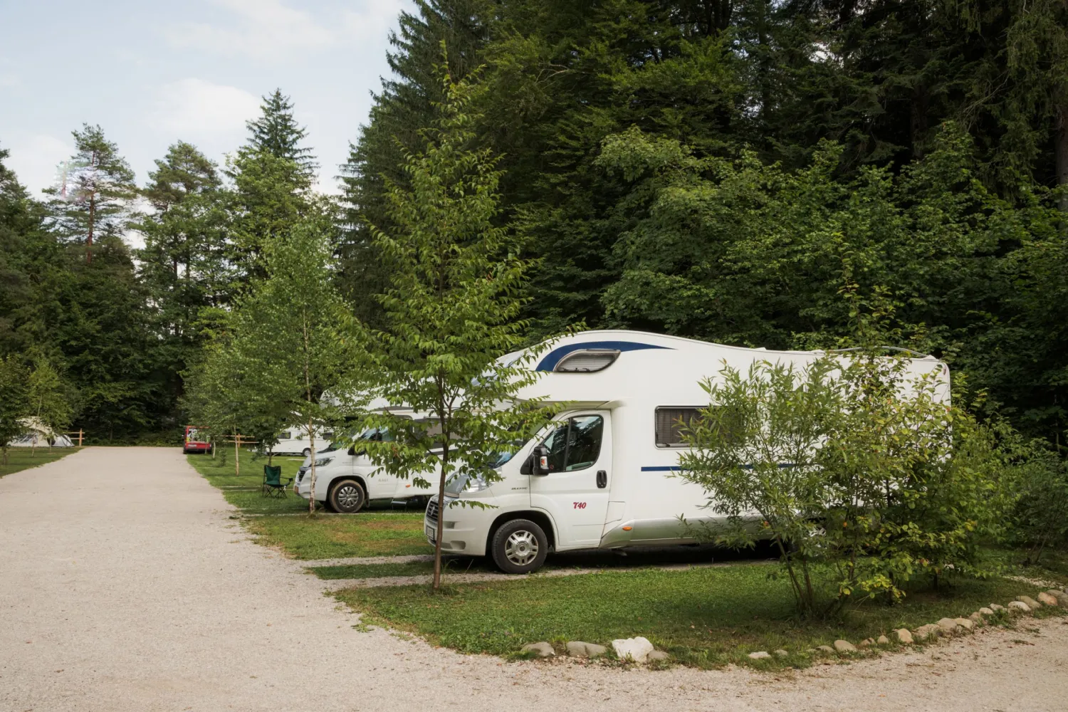 Forest-Camping-Mozirje_2025_foto-andrejlamut_WEB-120