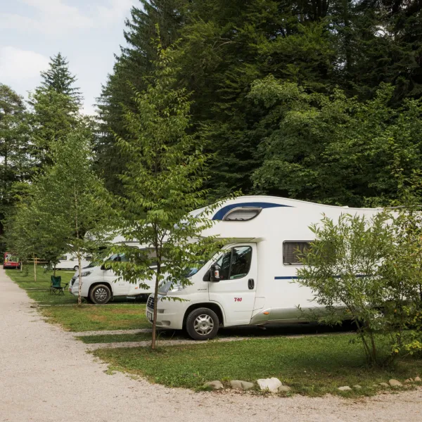 Forest-Camping-Mozirje_2025_foto-andrejlamut_WEB-120