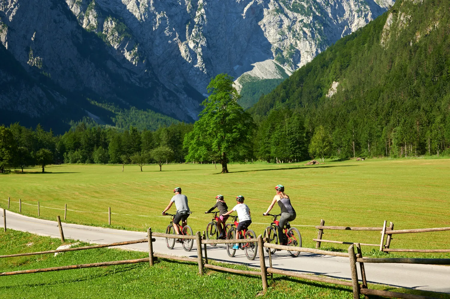forest-camping-mozirje-mozirje-fatoo
