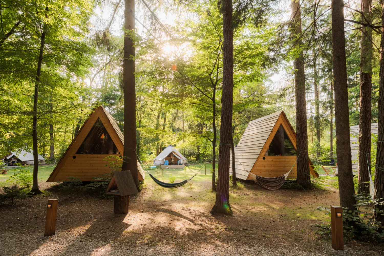 Forest-Camping-Mozirje_2025_foto-andrejlamut_WEB-155