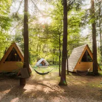Forest-Camping-Mozirje_2025_foto-andrejlamut_WEB-155
