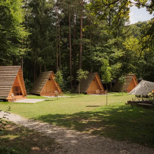 Forest-Camping-Mozirje_2025_foto-andrejlamut_WEB-73