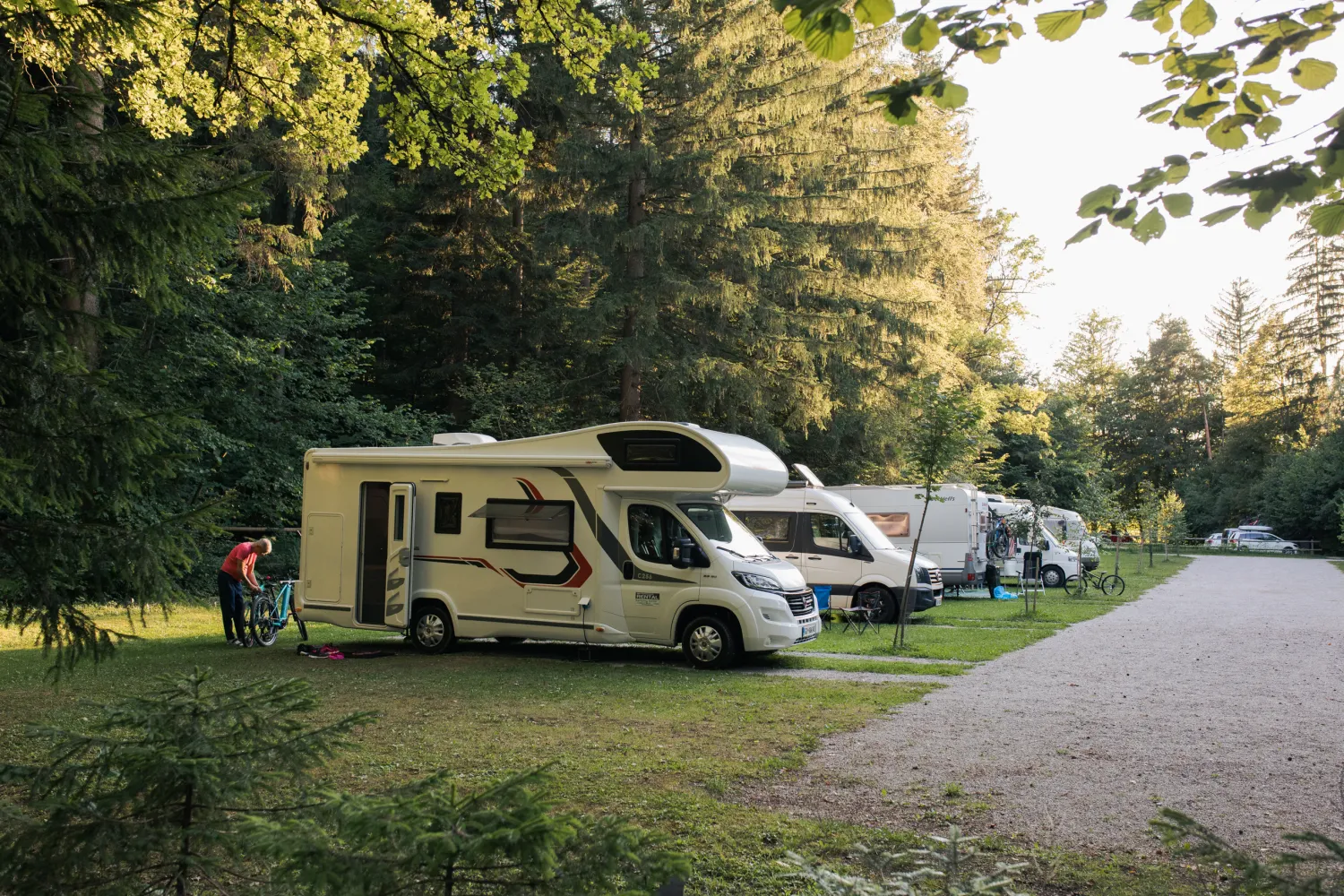 forest-camping-mozirje-mozirje-h04gs