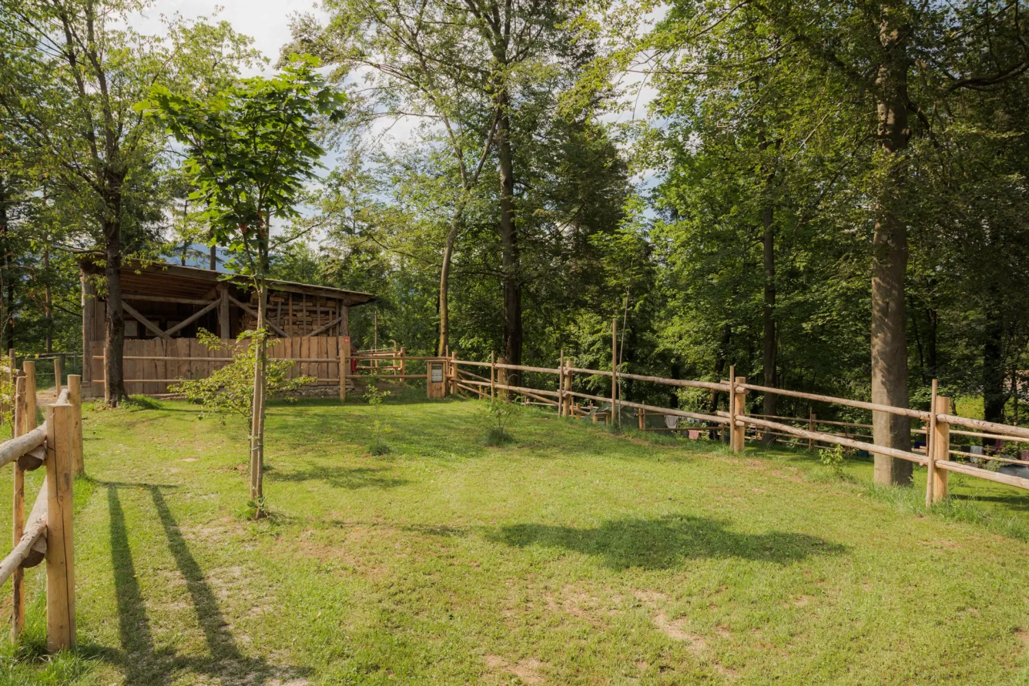04_Forest-Camping-Mozirje_2025_foto-andrejlamut_WEB-96