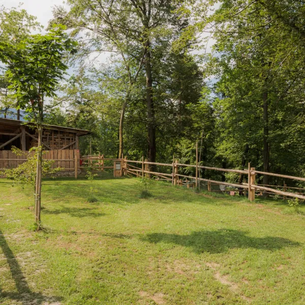 04_Forest-Camping-Mozirje_2025_foto-andrejlamut_WEB-96