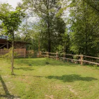 04_Forest-Camping-Mozirje_2025_foto-andrejlamut_WEB-96