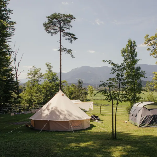 forest-camping-mozirje-mozirje-inbre