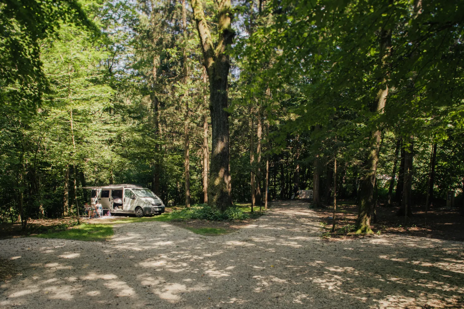 forest-camping-mozirje-mozirje-j5oyh