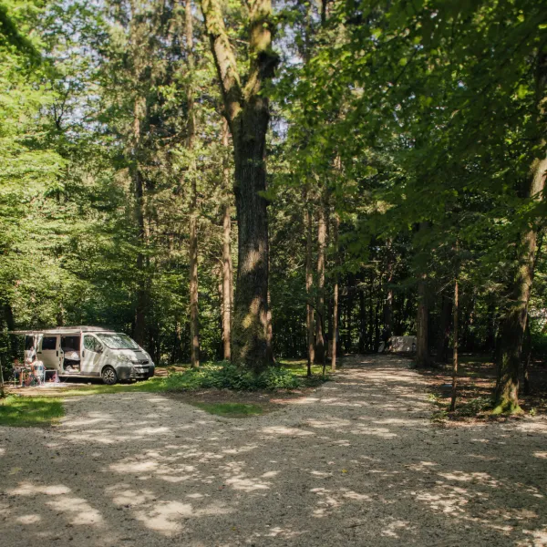 forest-camping-mozirje-mozirje-j5oyh