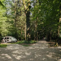 forest-camping-mozirje-mozirje-j5oyh