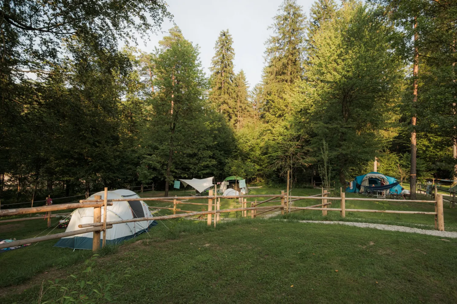 07_Forest-Camping-Mozirje_2025_foto-andrejlamut_WEB-170