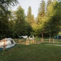 07_Forest-Camping-Mozirje_2025_foto-andrejlamut_WEB-170