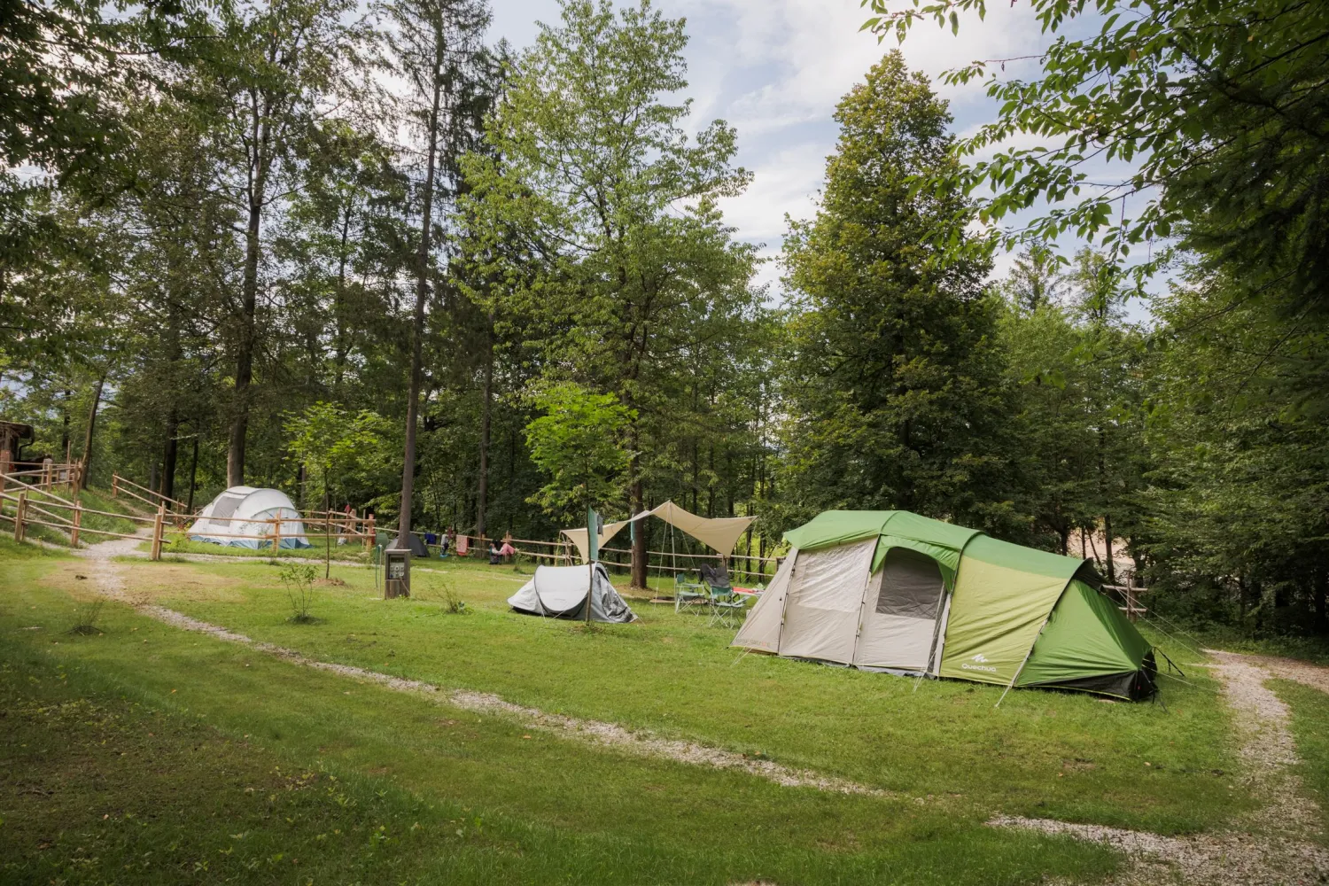 09_Forest-Camping-Mozirje_2025_foto-andrejlamut_WEB-116