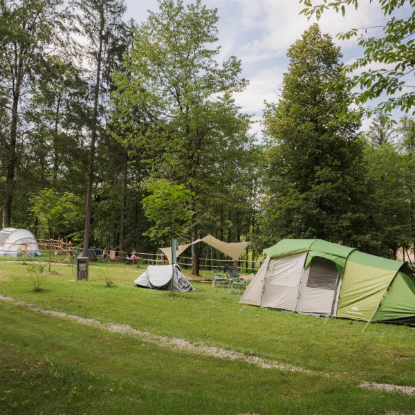 09_Forest-Camping-Mozirje_2025_foto-andrejlamut_WEB-116