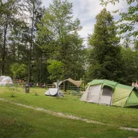 09_Forest-Camping-Mozirje_2025_foto-andrejlamut_WEB-116