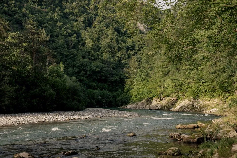 forest-camping-mozirje-mozirje-mqskx
