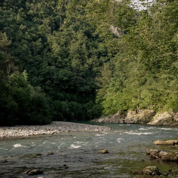 forest-camping-mozirje-mozirje-mqskx