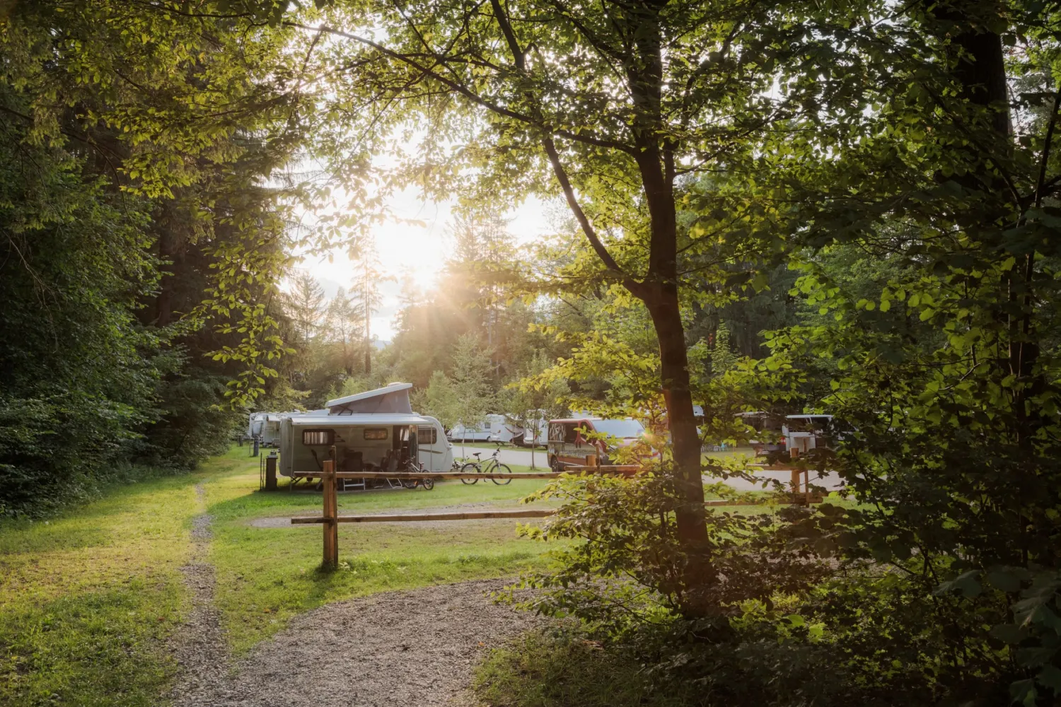 Forest-Camping-Mozirje_2025_foto-andrejlamut_WEB-180