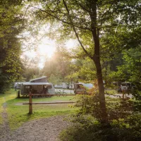 Forest-Camping-Mozirje_2025_foto-andrejlamut_WEB-180