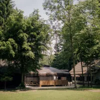 forest-camping-mozirje-mozirje-n4qre