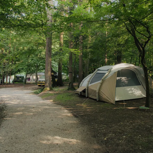 forest-camping-mozirje-mozirje-ndc6u