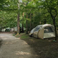 forest-camping-mozirje-mozirje-ndc6u