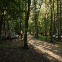 forest-camping-mozirje-mozirje-nq7pp