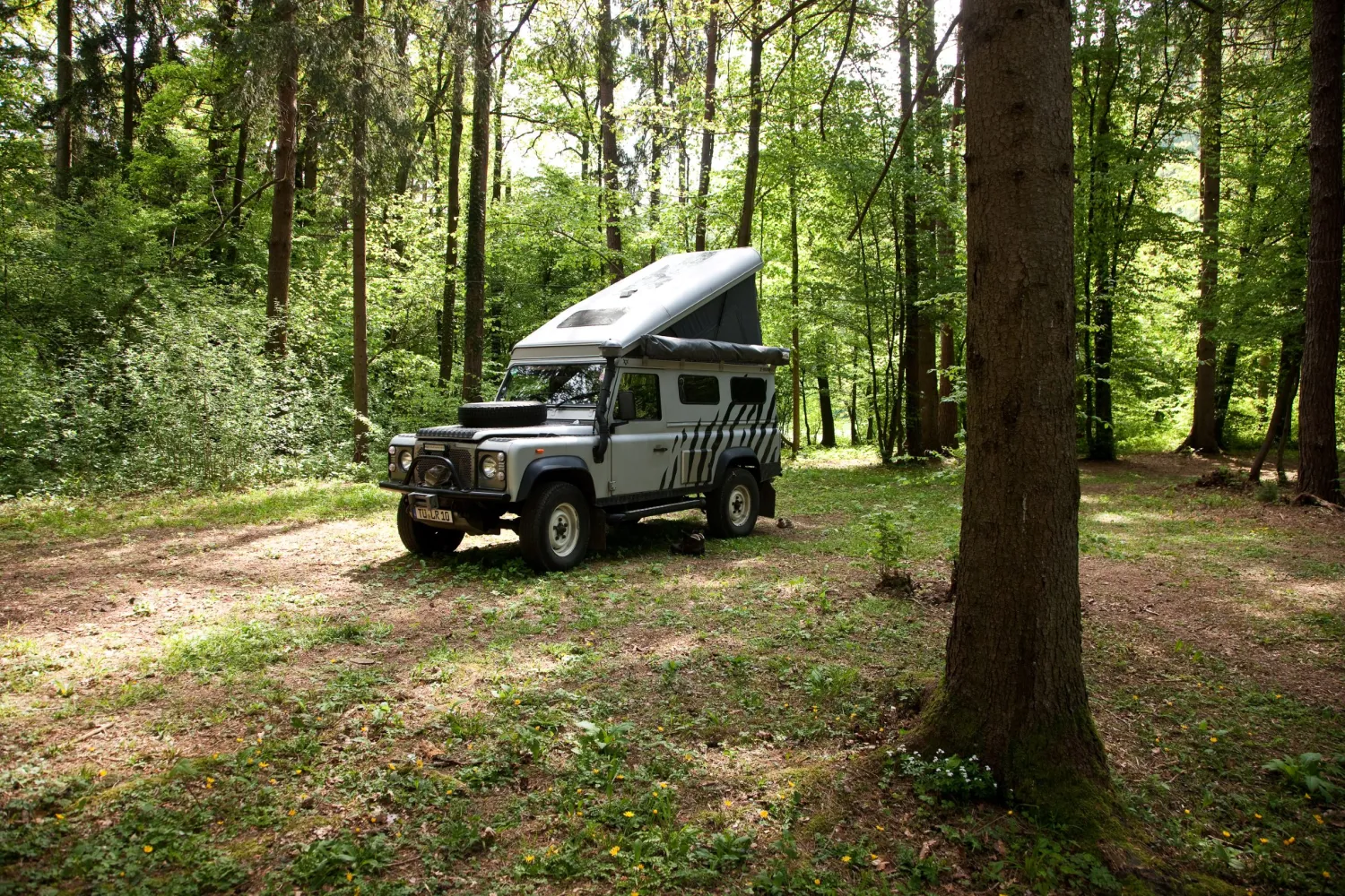 forest-camping-mozirje-mozirje-nyr2m