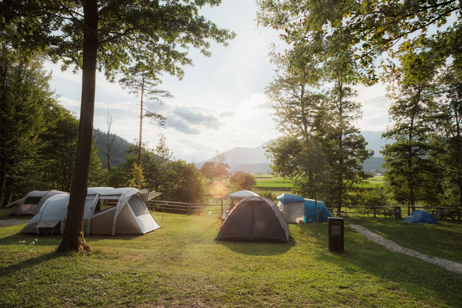 Forest-Camping-Mozirje_2025_foto-andrejlamut_WEB-166