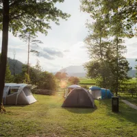 Forest-Camping-Mozirje_2025_foto-andrejlamut_WEB-166