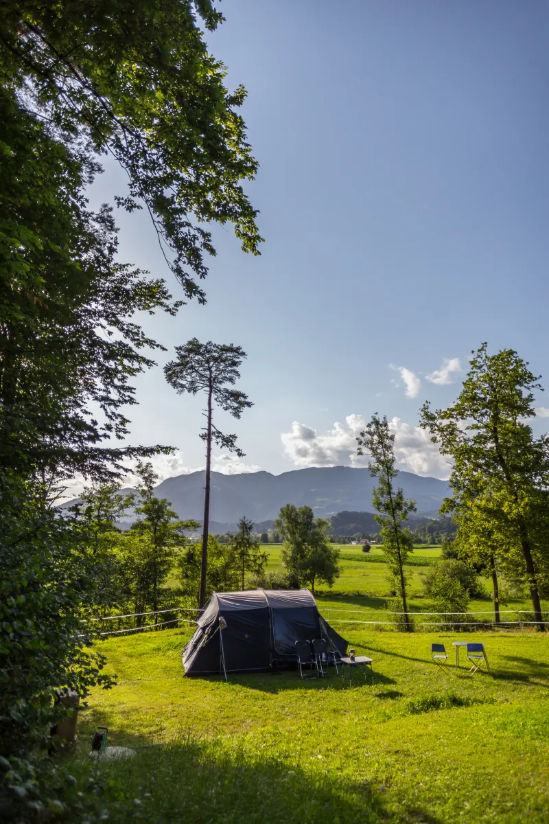 forest-camping-mozirje-mozirje-oxfii