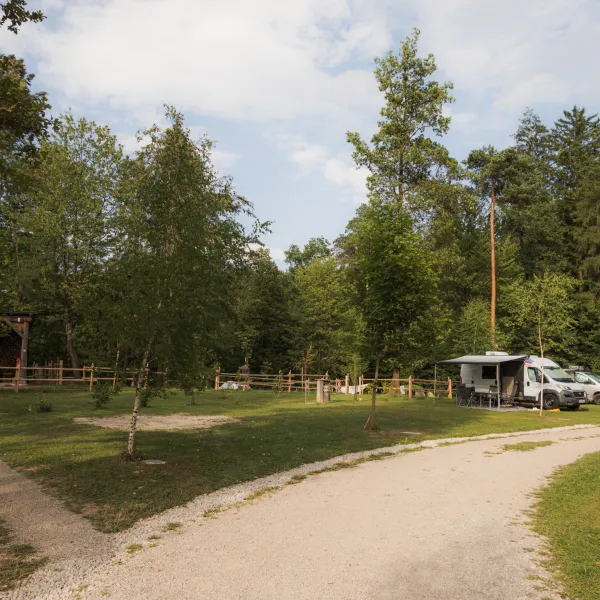 Forest-Camping-Mozirje_2025_foto-andrejlamut_WEB-137