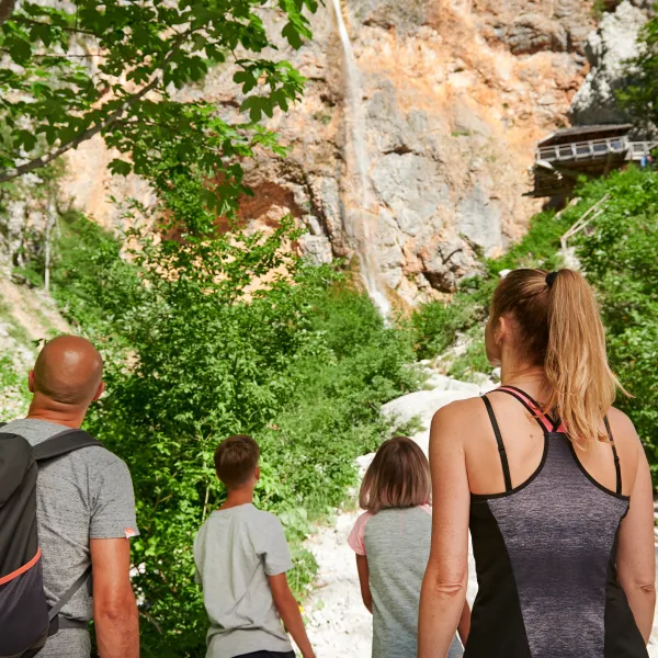 forest-camping-mozirje-mozirje-qoyya