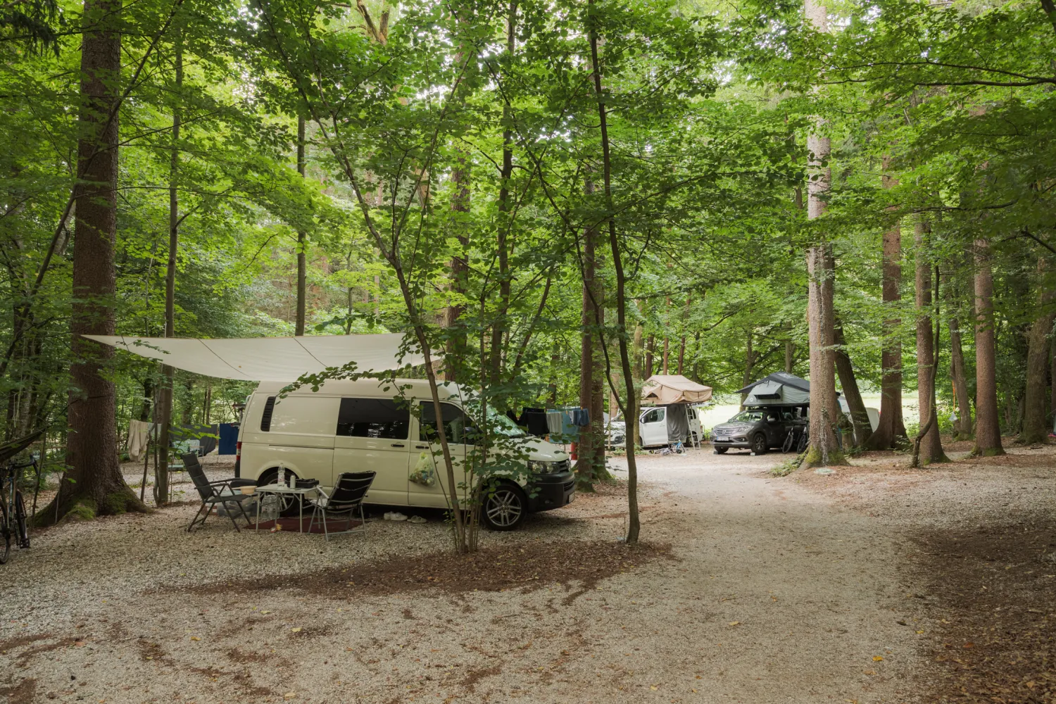 Forest-Camping-Mozirje_2025_foto-andrejlamut_WEB-185