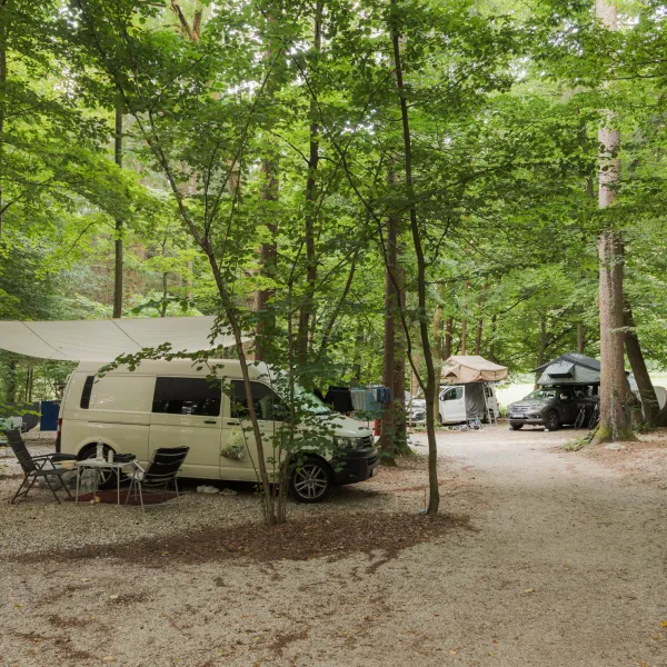 Forest-Camping-Mozirje_2025_foto-andrejlamut_WEB-185